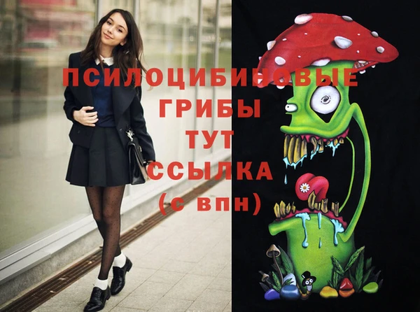 прущие крисы Алексин