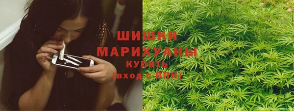 тгк Абаза