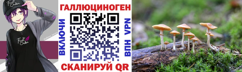Псилоцибиновые грибы MAGIC MUSHROOMS  Спас-Клепики 